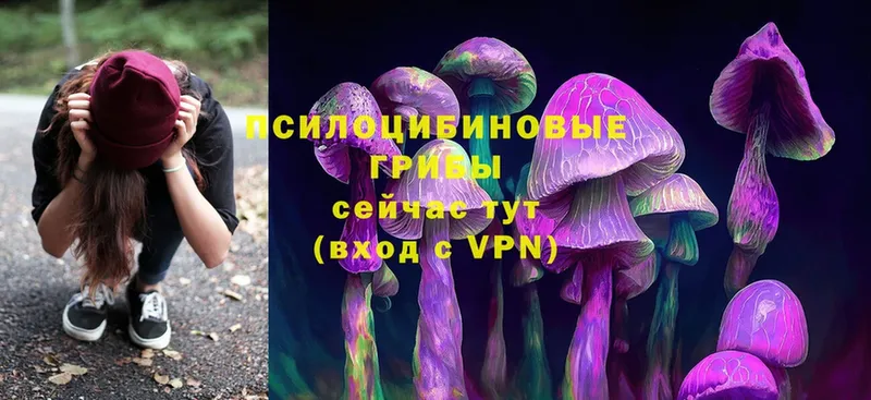 shop официальный сайт  Каневская  Галлюциногенные грибы Cubensis 